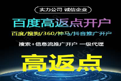 SEM代理实战：成功案例分享与经验总结